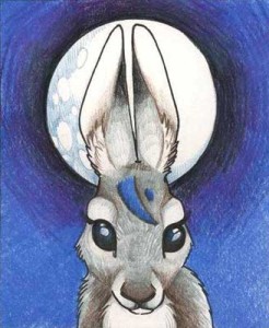 moonlight hare